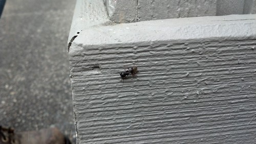 2012-03-27_12-36-55_939_s.jpg 2012-03-27_12-36-55_939_s.jpg