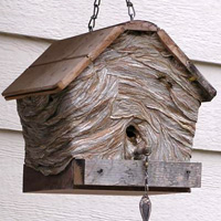 Wasps_Birdhouse.jpg